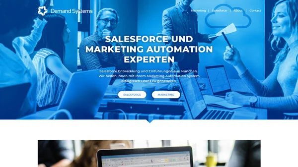 Professional Business Website Design